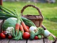 В Украине подешевели овощи «борщевого набора»