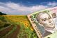 За два місяці плата за землю поповнила місцеві бюджети Дніпропетровщини більш як на 730 мільйонів гривень