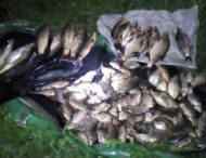 У травні на Дніпропетровщині  вилучено півтори тони незаконної риби