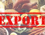 Український аграрний експорт досяг $10,3 млрд.
