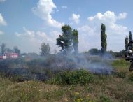 В Днепропетровской области объявлена чрезвычайная пожарная опасность: в течение суток ликвидировано 16 пожаров в экосистемах