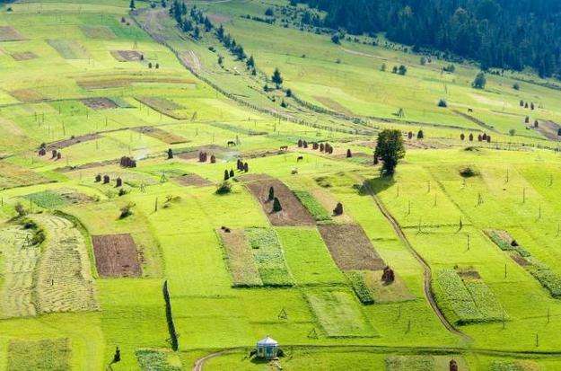 За сколько в Украине продают землю «под мораторием» и где (инфографика) За сколько в Украине продают землю «под мораторием» и где (инфографика)