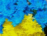 Спортсмени-паралімпійці та дефлімпійці з Дніпропетровщини отримають стипендії Президента України