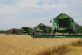Аграрии Днепропетровщины завершили собирать ранние зерновые урожая 2019