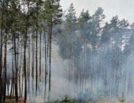 Цього літа у лісах Дніпропетровщини рятувальники зупинили 64 пожежі
