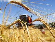 Заходи щодо детінізації відносин в аграрному секторі економіки  у рамках операції «Урожай»