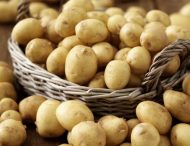 “Золотой” картофель: эксперты объяснили, почему растут цены