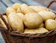 Українців чекає ціновий бум на картоплю