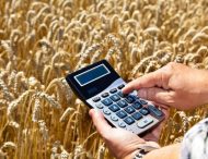 Минфин ищет способ удешевить кредиты фермерам