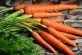Як обрати цибулю та моркву на зиму?