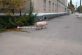 В Кременчуге посреди улицы гуляла свинья