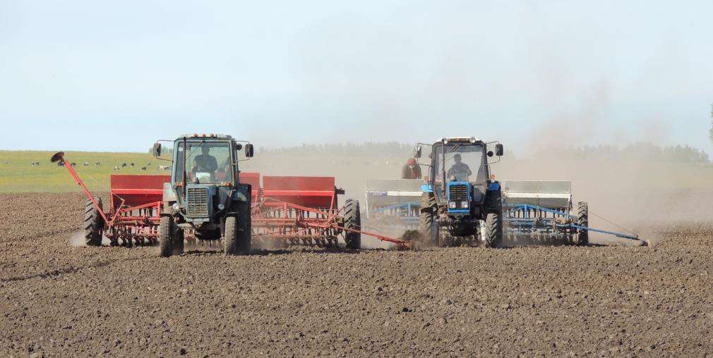 На Дніпропетровщині завершують сіяти озимі На Дніпропетровщині завершують сіяти озимі