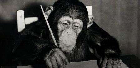 Обезьяна стала известным художником и провела выставку картин Обезьяна стала известным художником и провела выставку картин