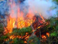 Отруйні вогнища: мешканцям Дніпропетровщини нагадують про штрафи