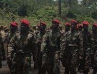 В сети высмеяли марширование африканских солдат под «Катюшу»