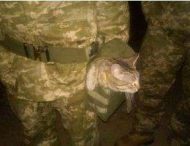 Украинские воины показали забавное фото с котом Патроном
