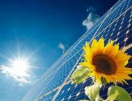 Сонячна енергія допоможе знищити пухлини