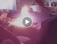 В Австралии щенок поджег зажигалкой дом