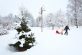 Морозы до -20 и много снега: синоптик дал прогноз на зиму в Украине