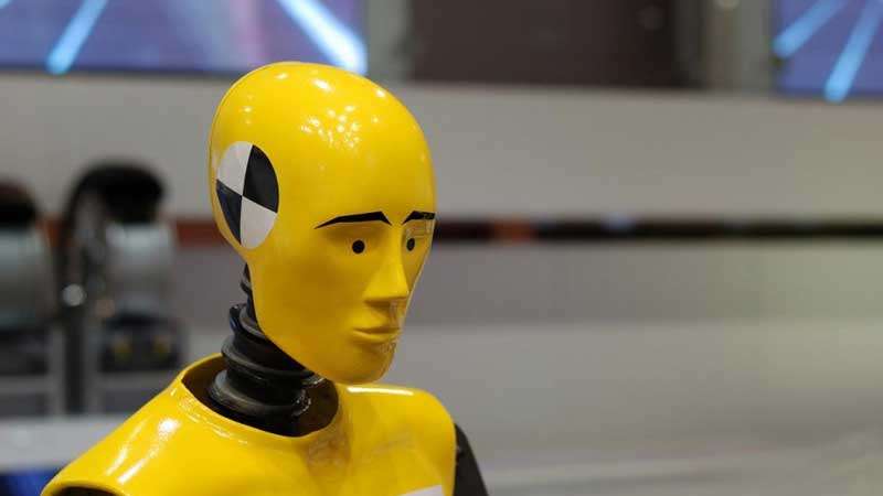 Китайцы использовали в краш-тестах животных вместо манекенов Китайцы использовали в краш-тестах животных вместо манекенов