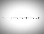 Tesla зарегистрировала два названия для пикапа