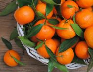 Новорічні ласощі: Комаровський розповів, скільки мандаринів можна їсти в день без шкоди для здоров’я