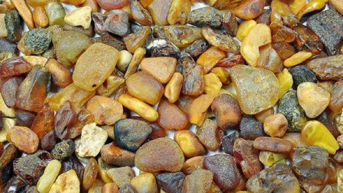 Легалізація видобутку бурштину: Рада прийняла важливий закон Легалізація видобутку бурштину: Рада прийняла важливий закон