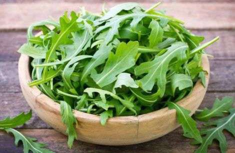 Рукола для здоров’я кісток Рукола для здоров’я кісток