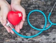 Новий механізм лікування хвороб серця