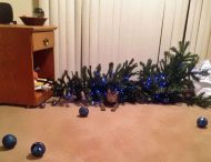 В Сети начали появляться курьезные снимки котов, опрокинувших новогодние елки