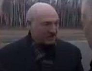 Лукашенко высмеяли из-за нелепой истории о Путине