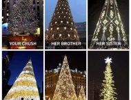 В Тбилиси установили «лысую» новогоднюю елку: соцсети смеются