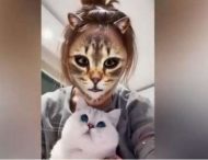 Кошки с ужасом отреагировали на хозяев в кошачьем обличье