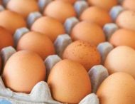 Чи потрібно мити яйця перед приготуванням?