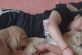 В сети смеются над видео с собакой, которая приревновала хозяйку к щенку