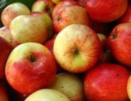 Вживання яблук впливає на рівень холестерину
