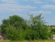 За два місяці Дніпропетровська ОДА допомогла майже 200 АТОвцям оформити земельні ділянки 