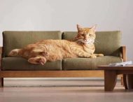 В Японии создали мини-мебель для котов