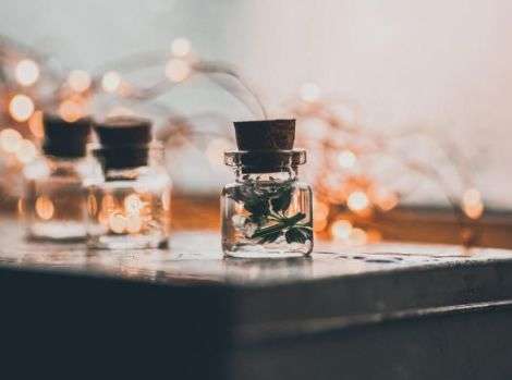 Аромати, які покращують запам’ятовування Аромати, які покращують запам’ятовування