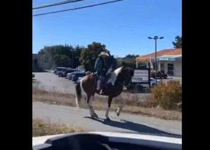 Забавное видео с танцующей лошадью стало хитом в сети Забавное видео с танцующей лошадью стало хитом в сети