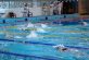 Чемпіонат Дніпра з плавання зібрав рекордну кількість учасників