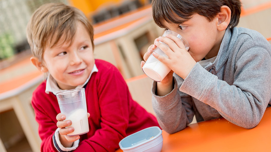 В українські школи можуть повернути програму «Склянка молока» В українські школи можуть повернути програму «Склянка молока»