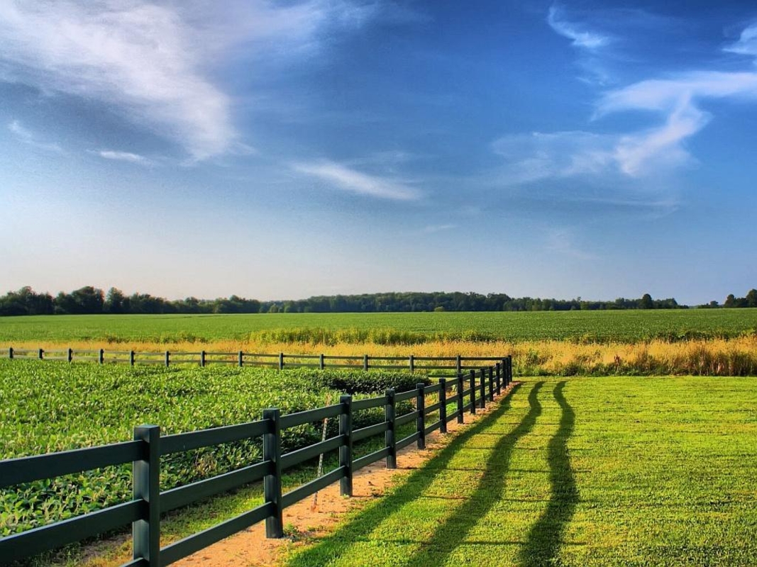 Хто має зробити нові документи на землю, щоб не втратити ділянку Хто має зробити нові документи на землю, щоб не втратити ділянку