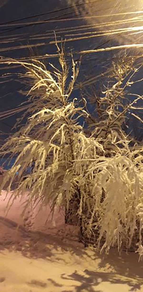 Из-за непогоды более семи тысяч жителей области остались без электричества Из-за непогоды более семи тысяч жителей области остались без электричества