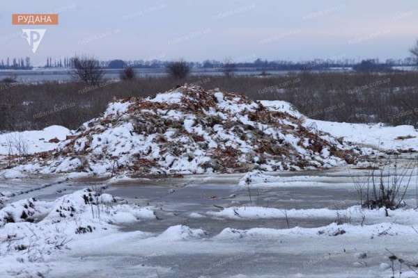 До весны: рядом с трассой Днепр-Кривой Рог заскладировали тонны дохлых кур (ФОТО, ВИДЕО) До весны: рядом с трассой Днепр-Кривой Рог заскладировали тонны дохлых кур (ФОТО, ВИДЕО)