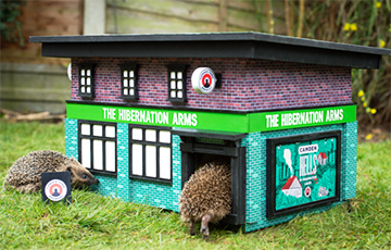 В Великобритании начали устанавливать пабы для ежей В Великобритании начали устанавливать пабы для ежей