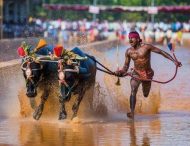 Индиец случайно поставил рекорд скорости в забеге по рисовому полю
