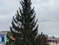 «Наверное, корни пустила»: в Верховцево до сих пор не демонтировали новогоднюю елку