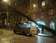 Ураган: в Днепре дерево грохнулось на маршрутку