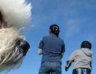 Забавные фотографии животных, случайно попавших в кадр